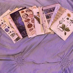 pictures for a photo wall